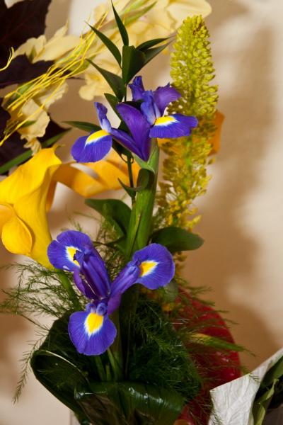IMG_9023 IMG_9023